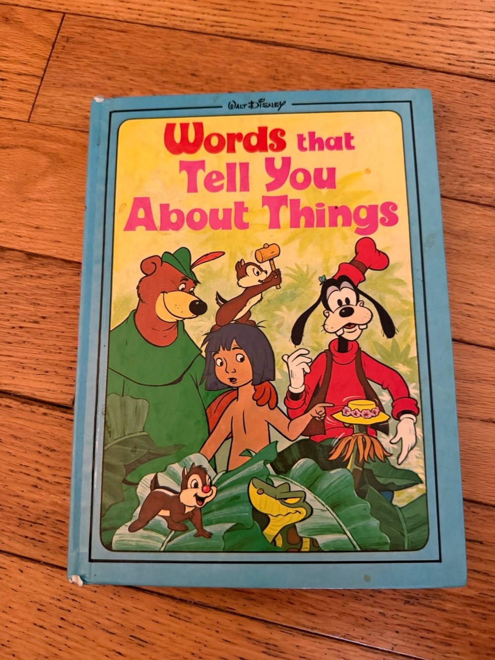 Disney Blue Picture Book - Words That Tell You About Things